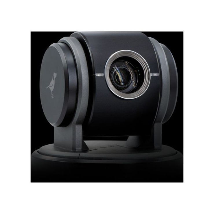 BIRDDOG-EYES-P100-1080P-FULL-NDI-PTZ-CAMERA-(BLACK)